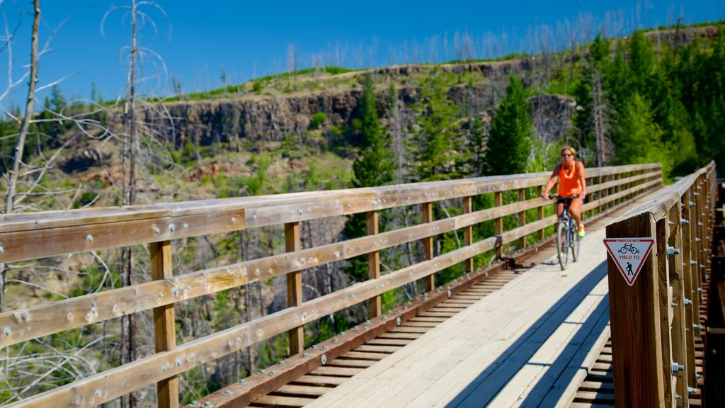 Myra-Bellevue Provincial Park showing cycling and a bridge as well as an individual female