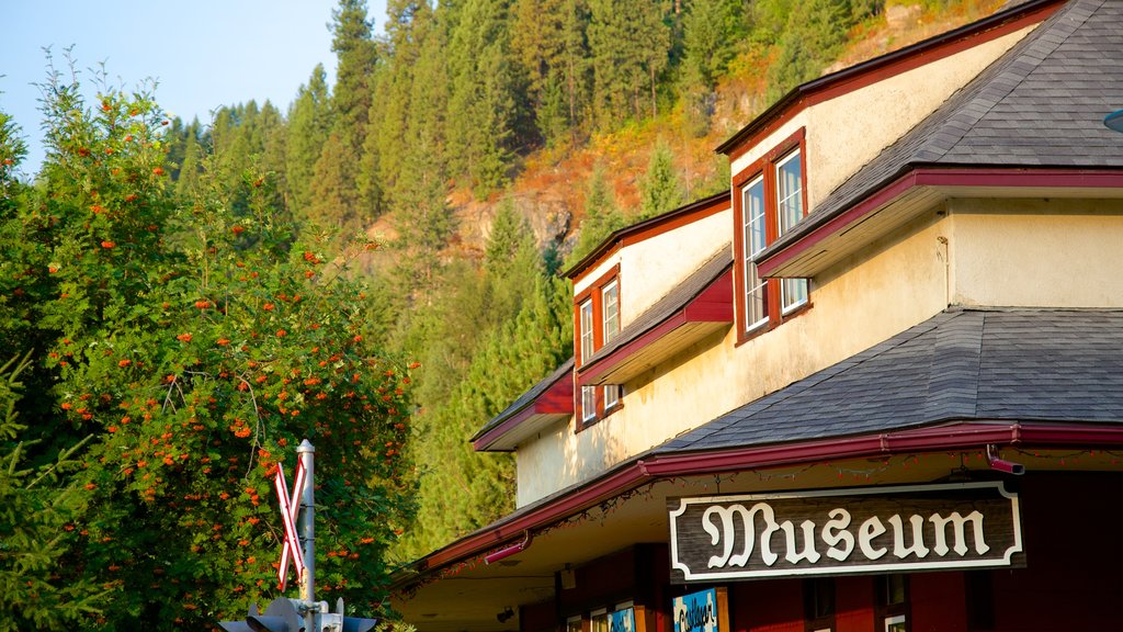 Castlegar showing heritage architecture and signage