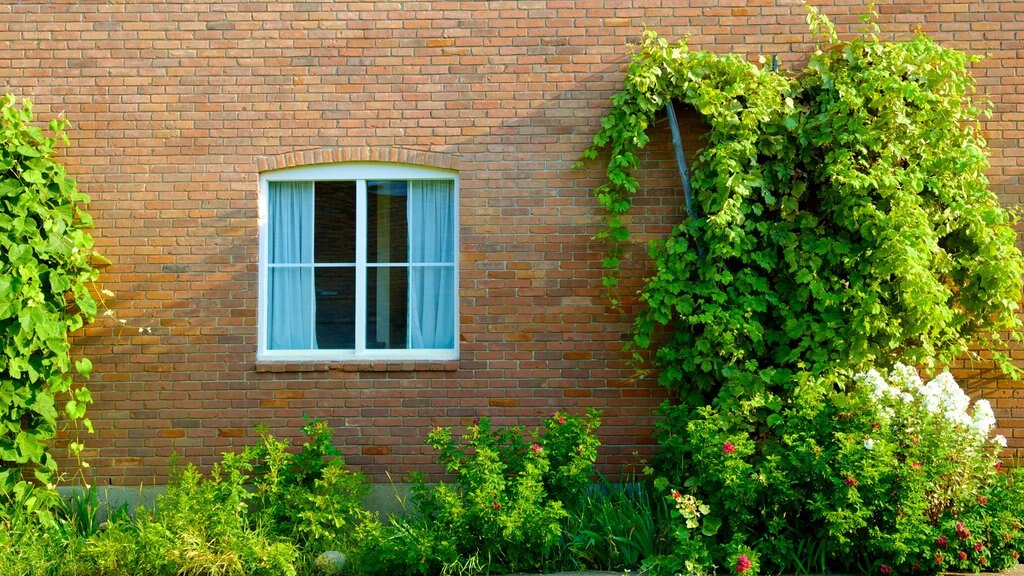 Centro de descubrimiento Doukhobor mostrando una casa