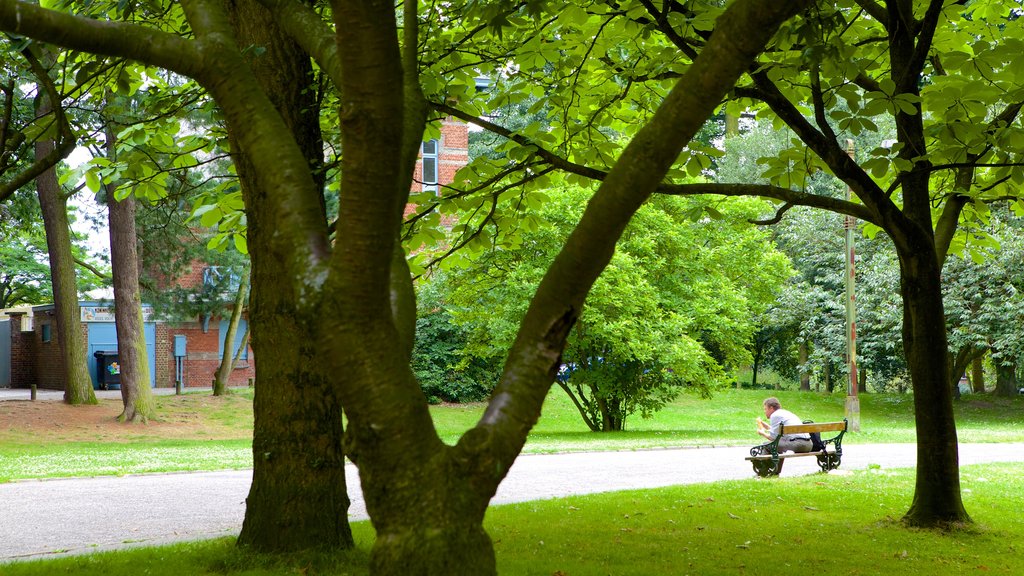 Parque Ciudadela mostrando un parque