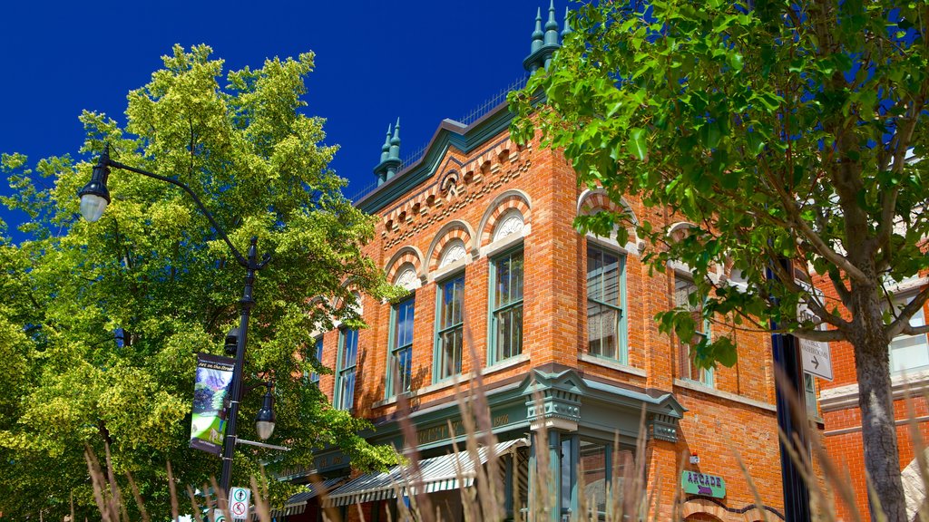 Collingwood toont historische architectuur