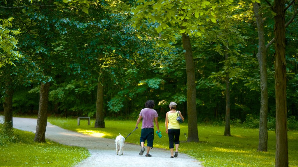 Barrie Arboretum at Sunnidale Park mostrando senderismo o caminata y un jardín y también una pareja