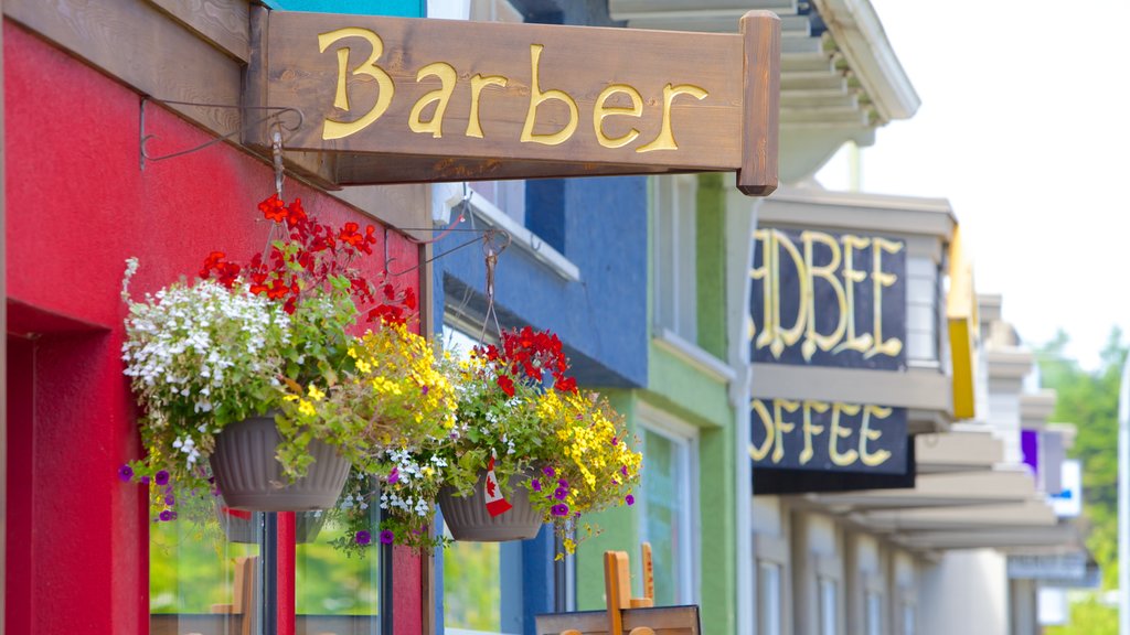 Parksville featuring signage and flowers