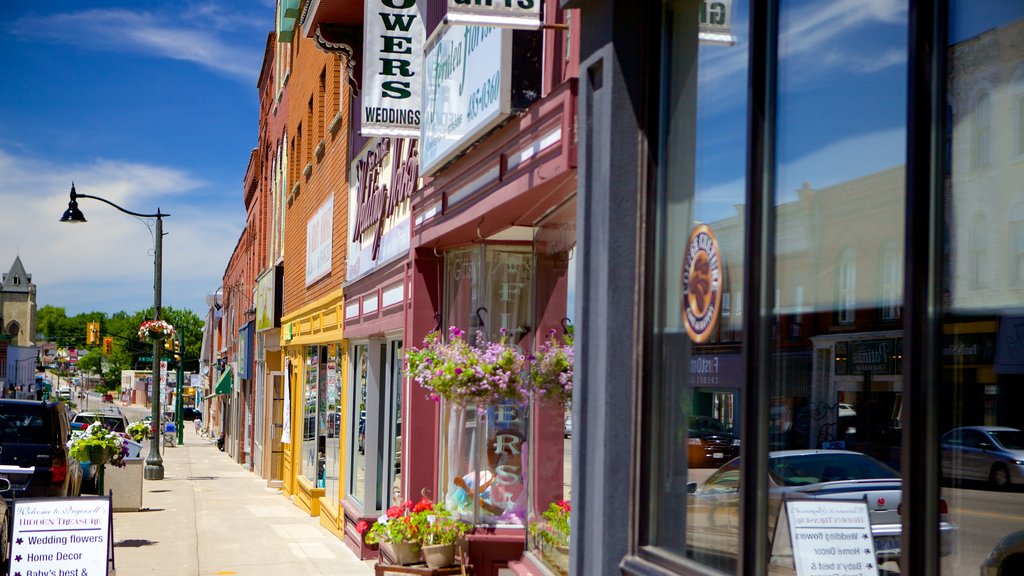 Ingersoll showing street scenes and a small town or village