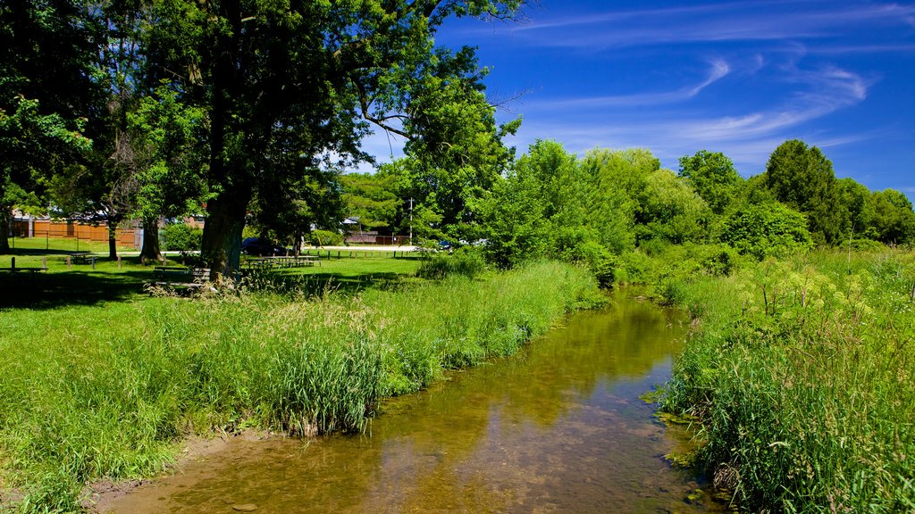 Ingersoll showing a river or creek