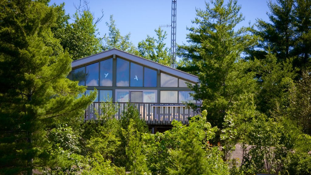 Honey Harbour showing modern architecture and a house