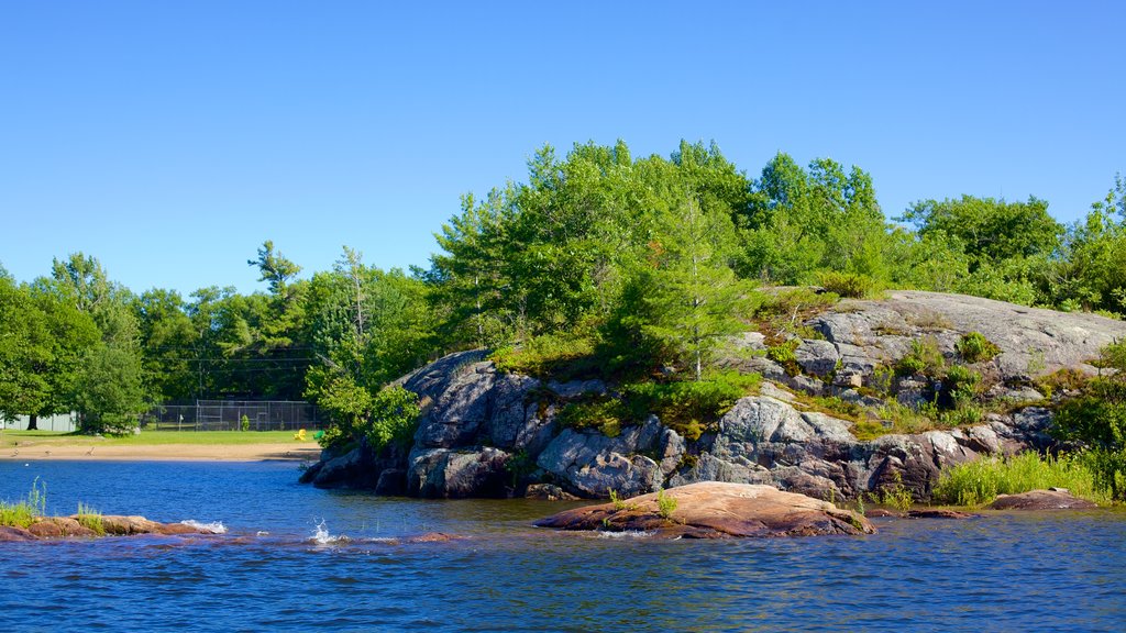 Honey Harbour showing a river or creek