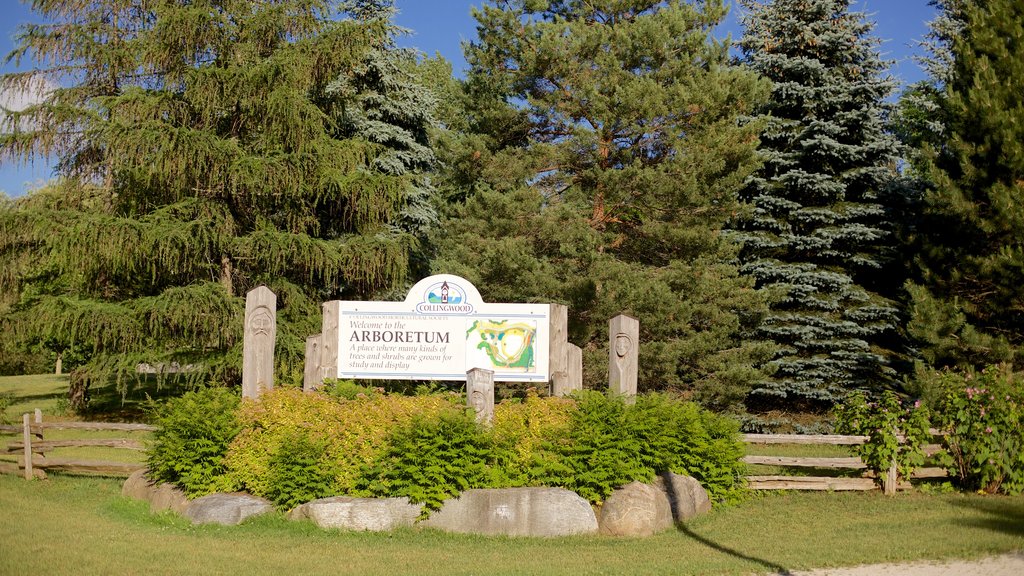 Collingwood showing signage and a garden