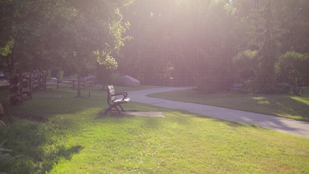 Collingwood Arboretum which includes a park