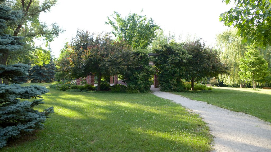 Collingwood Arboretum featuring a garden