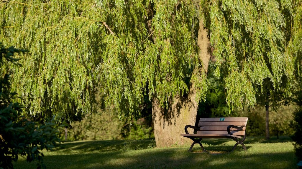 Collingwood showing a park