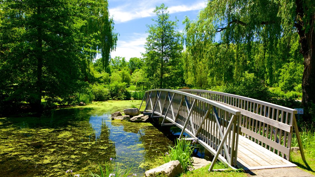 St. Thomas bevat een vijver en een brug