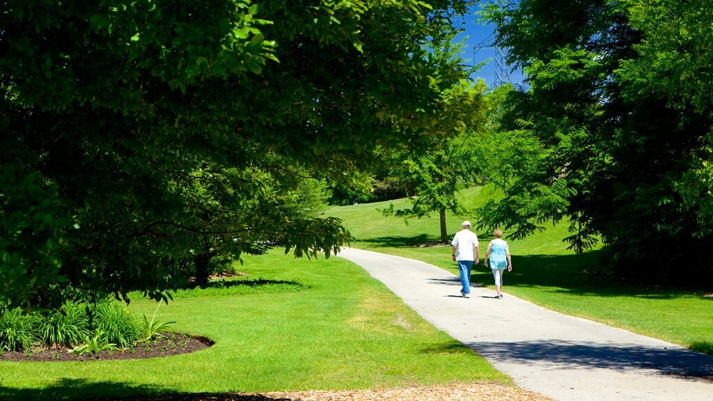 St. Thomas ofreciendo senderismo o caminata y un parque y también una pareja