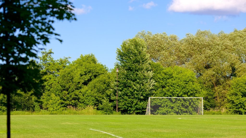 Collingwood mostrando jardín