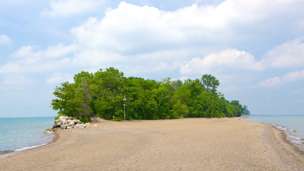 Point Pelee National Park que incluye una playa de guijarros