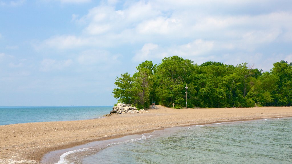 Point Pelee National Park showing a pebble beach