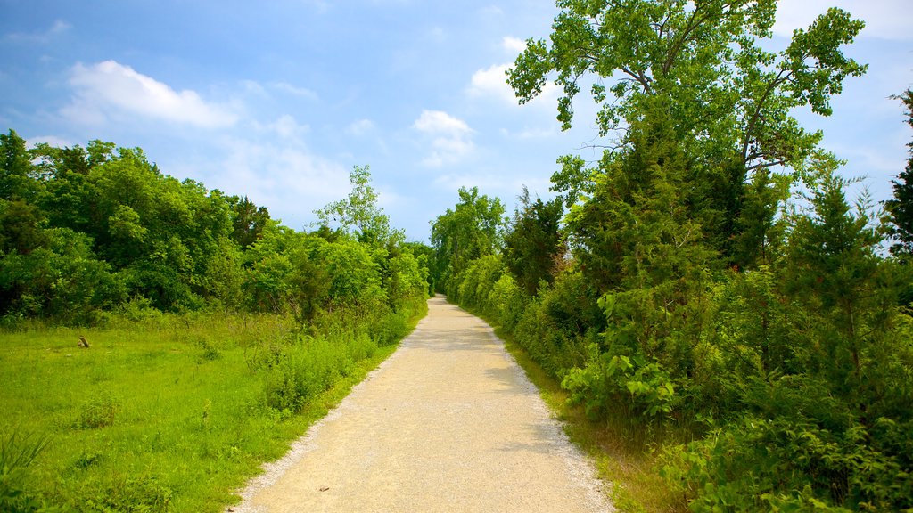 Nationaal park Point Pelee