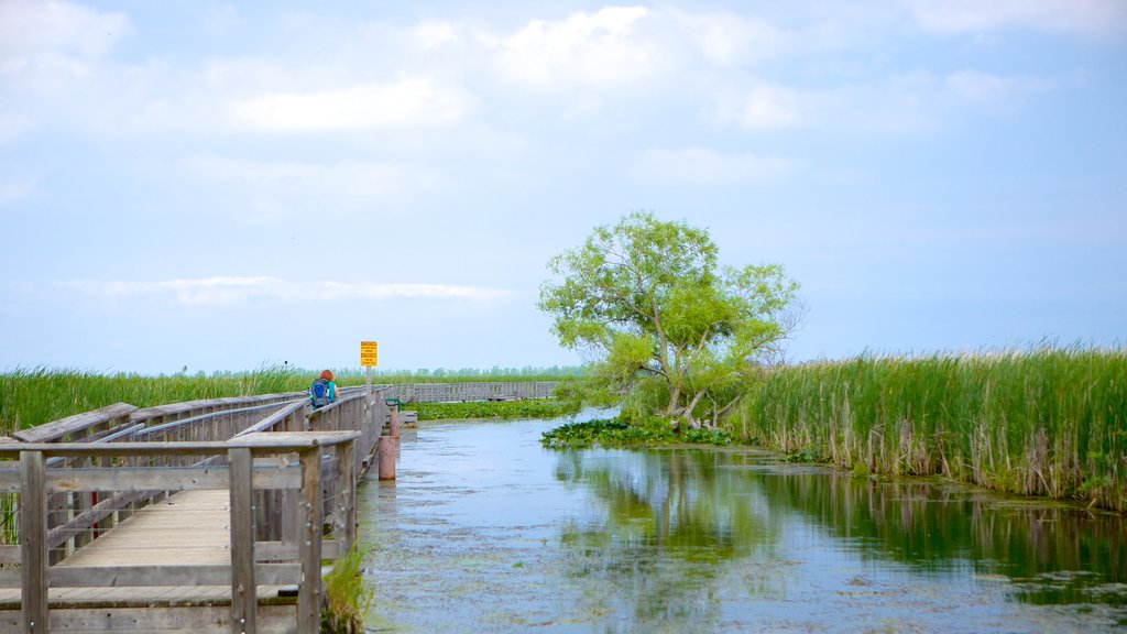 Point Pelee National Park showing a lake or waterhole and a bridge