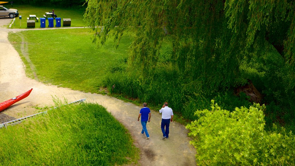 Point Pelee National Park mostrando caminatas