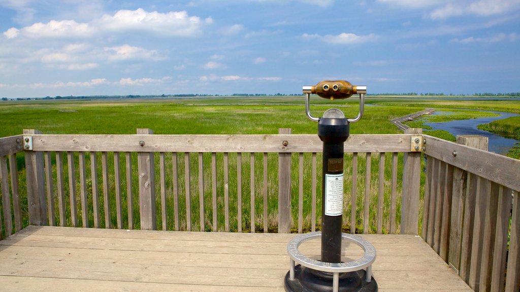 Point Pelee National Park mostrando vista