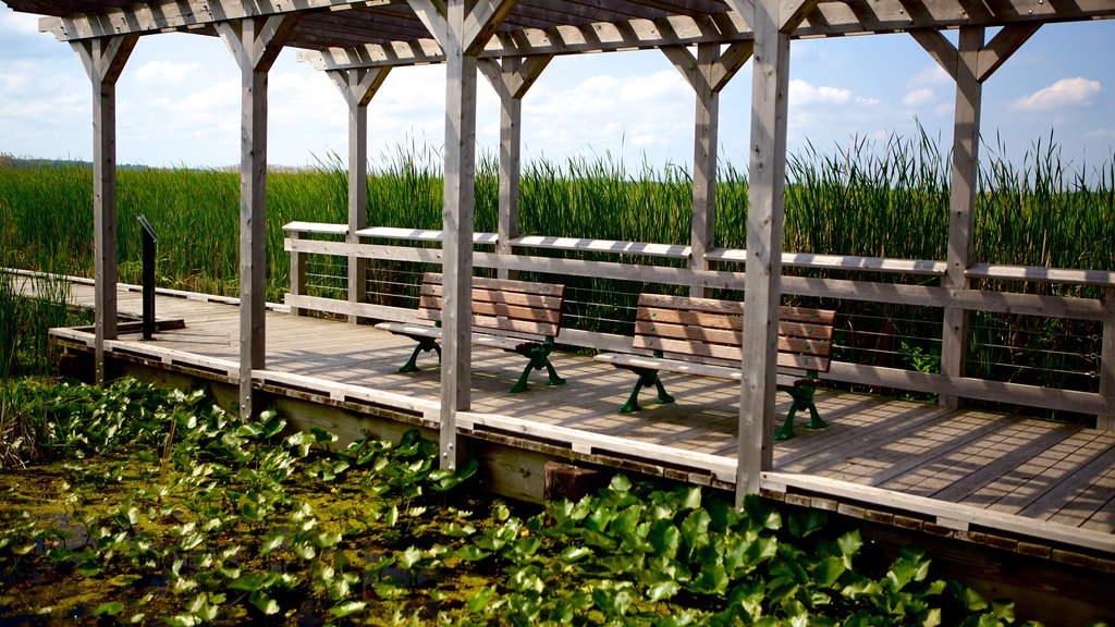 Point Pelee National Park