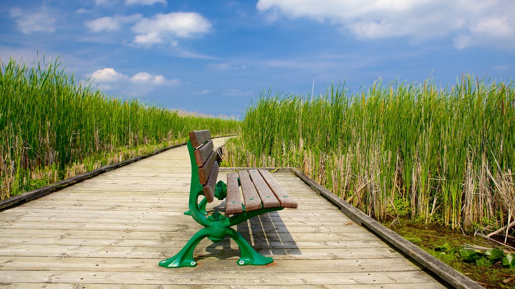 Nationaal park Point Pelee toont een brug