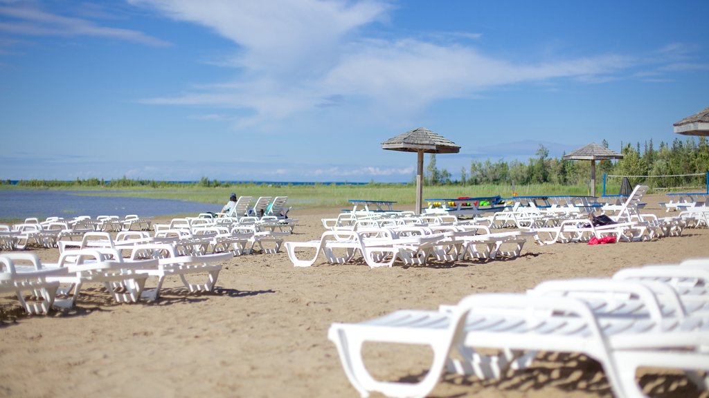 Blue Mountain Beach which includes a sandy beach