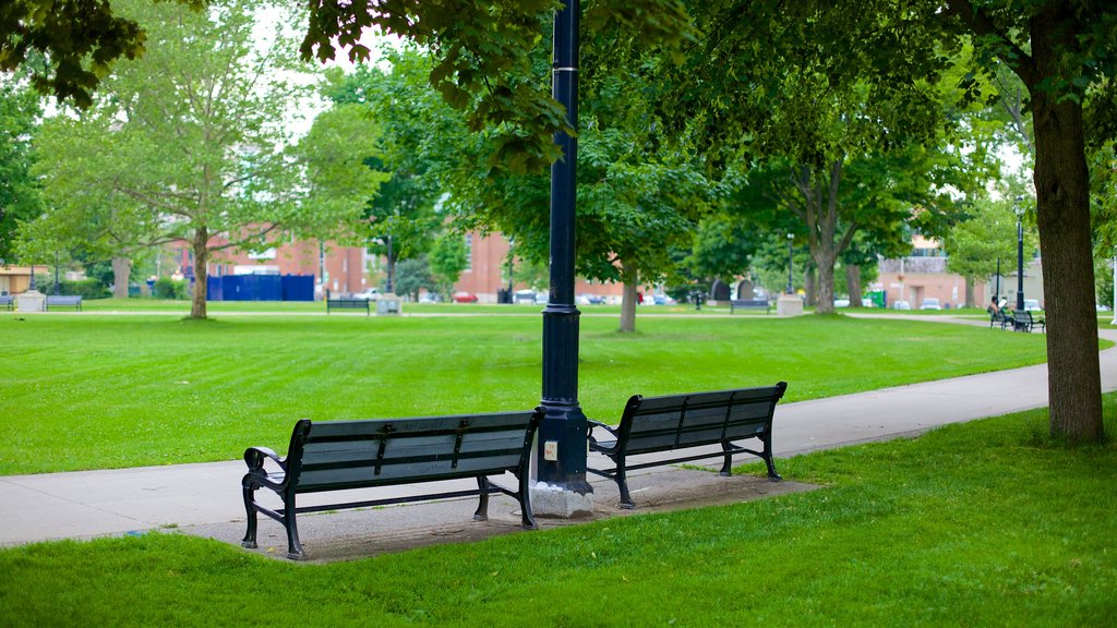 Victoria Park showing a garden