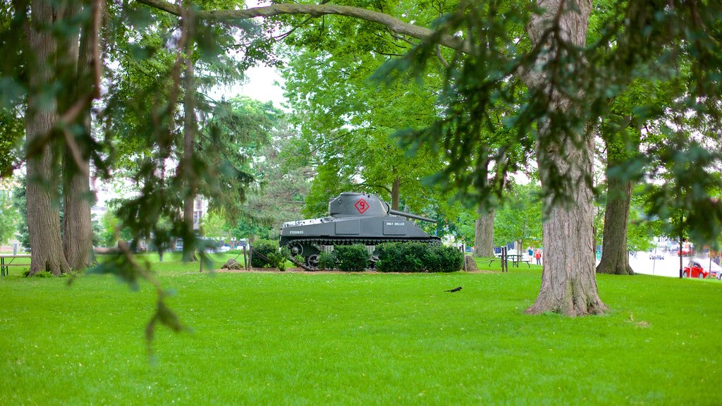 Victoria Park showing a garden and military items