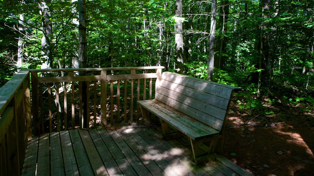 Parc national Georgian Bay Islands