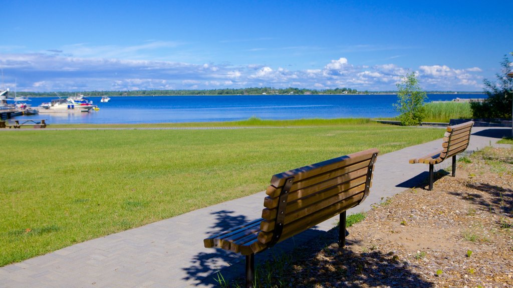 Georgian Bay Islands National Park showing general coastal views and a garden