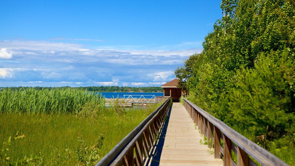 Georgian Bay Islands National Park showing a bridge