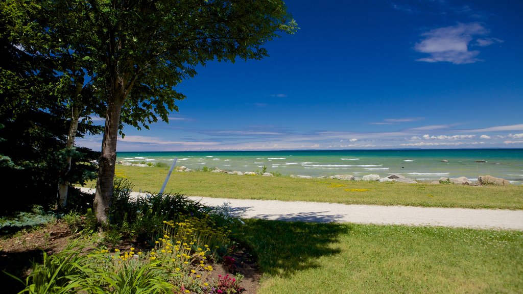 Sunset Point Park showing general coastal views and a garden