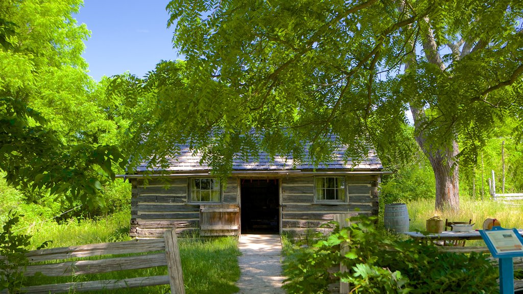 Fanshawe Pioneer Village mostrando uma casa e arquitetura de patrimônio