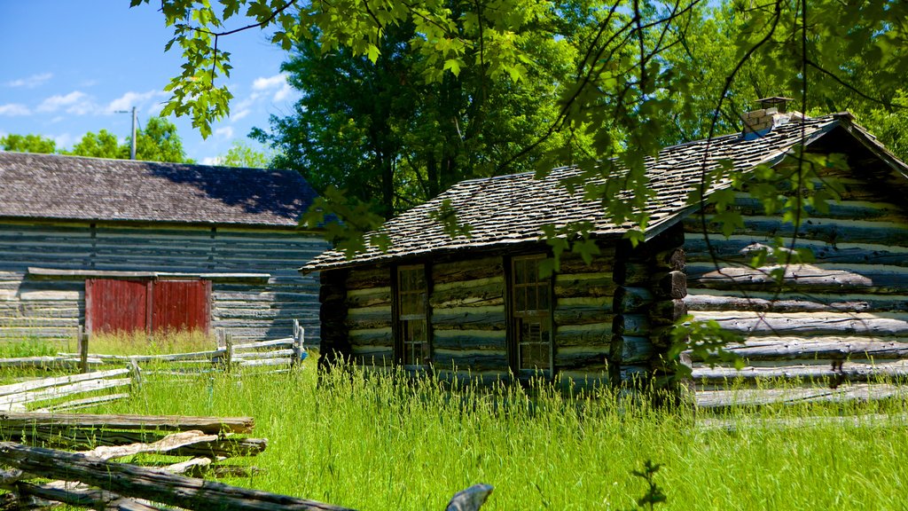 Fanshawe Pioneer Village showing a house and heritage architecture