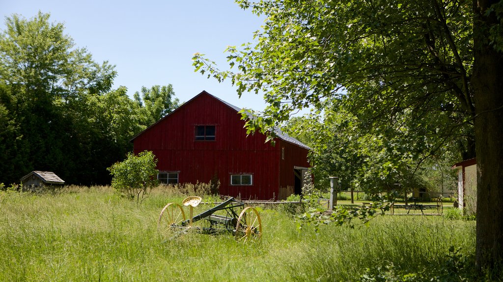 Fanshawe Pioneer Village , London, Ontario, Canadá mostrando arquitectura patrimonial