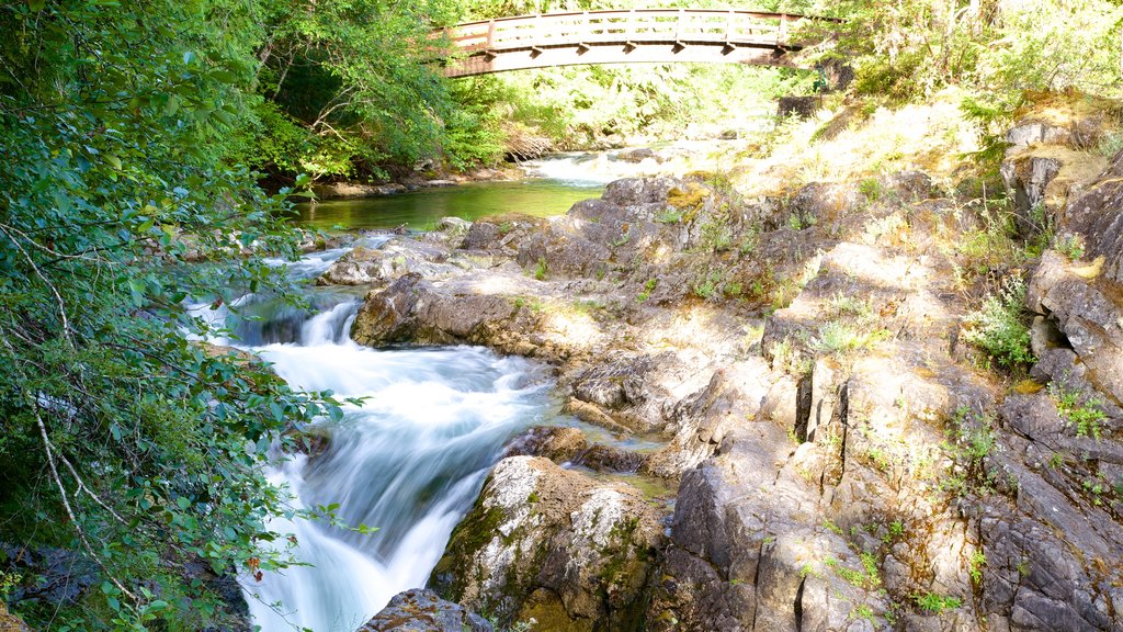 Little Qualicum Falls Provincial Park featuring rapids