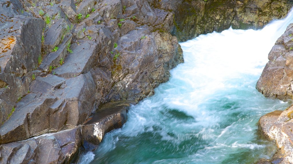 Little Qualicum Falls Provincial Park featuring rapids