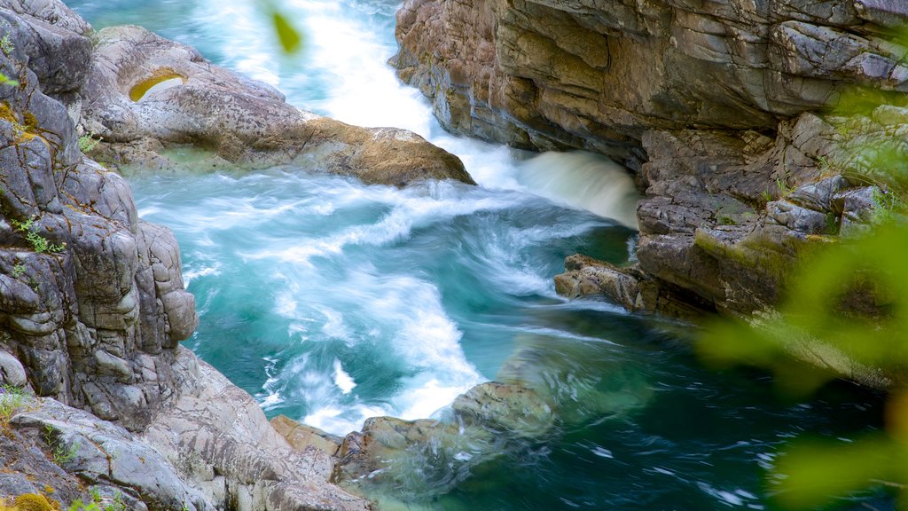 Little Qualicum Falls Provincial Park showing rapids