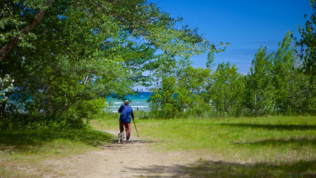 Wasaga Beach Provincial Park showing hiking or walking