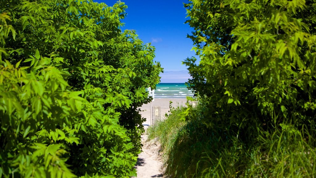 Wasaga Beach Provincial Park toont een strand