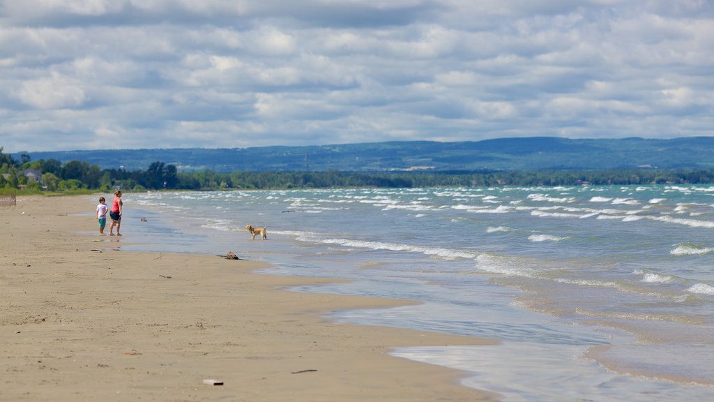 Parque Provincial de Playa Wasaga que incluye una playa