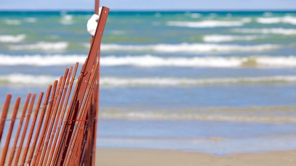 Wasaga Beach Provincial Park showing a sandy beach