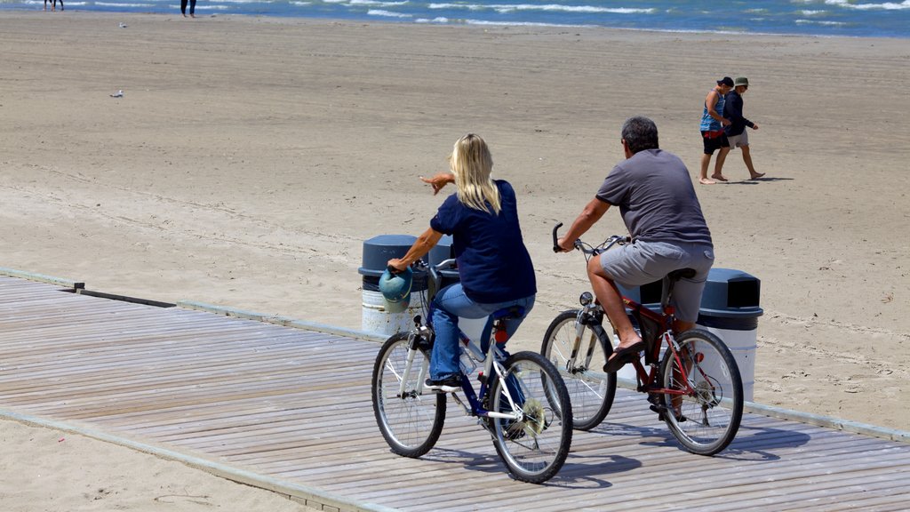 Wasaga Beach Provincial Park caracterizando uma praia e ciclismo