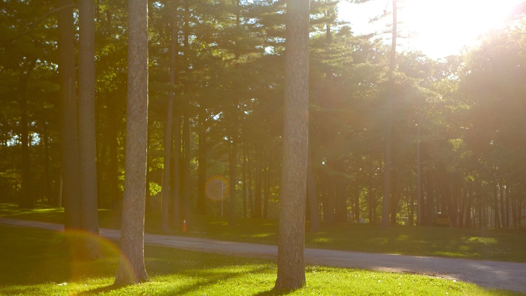 Barrie Arboretum em Sunnidale Park caracterizando um jardim