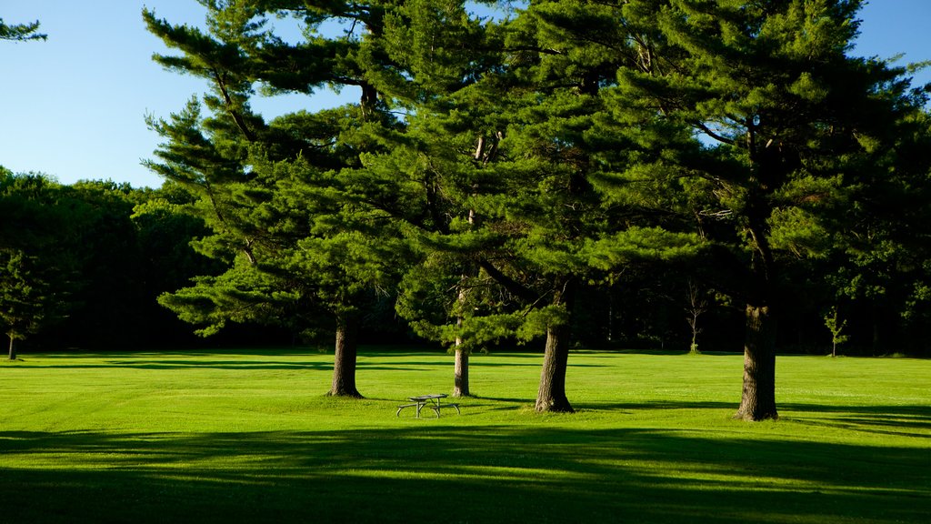 Barrie Arboretum in het Sunnidale Park inclusief een park