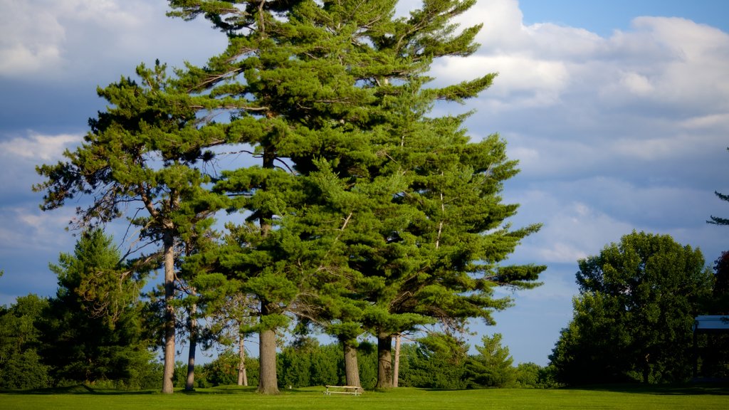 Barrie Arboretum at Sunnidale Park showing a park