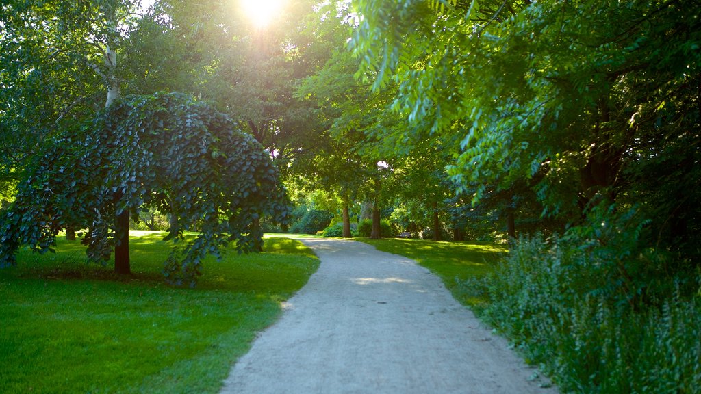 Barrie Arboretum at Sunnidale Park which includes a park