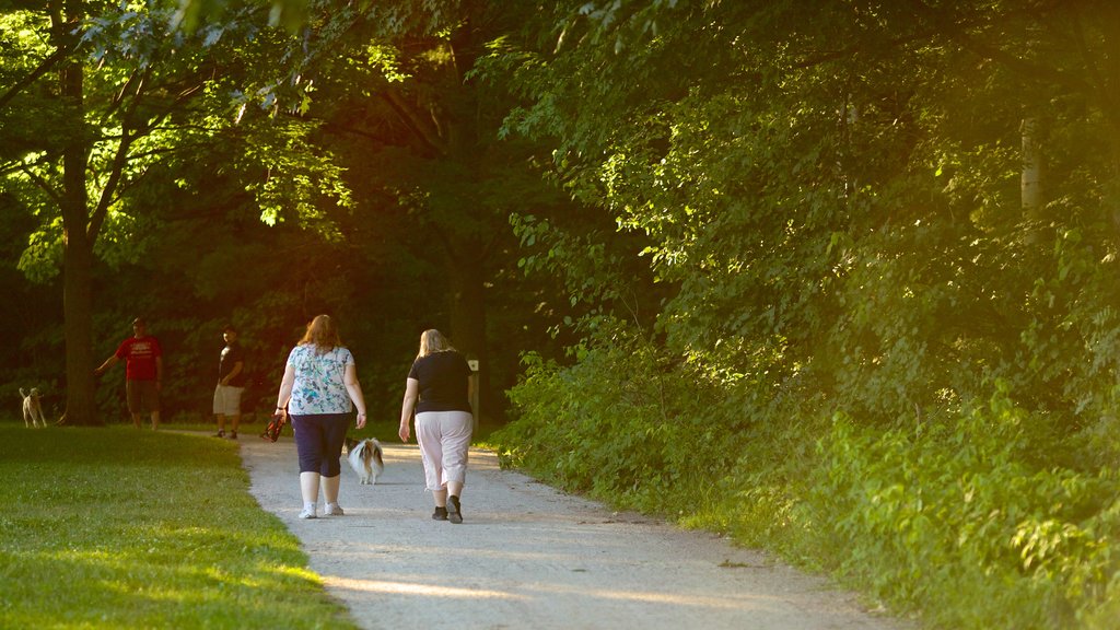 Barrie Arboretum em Sunnidale Park que inclui escalada ou caminhada