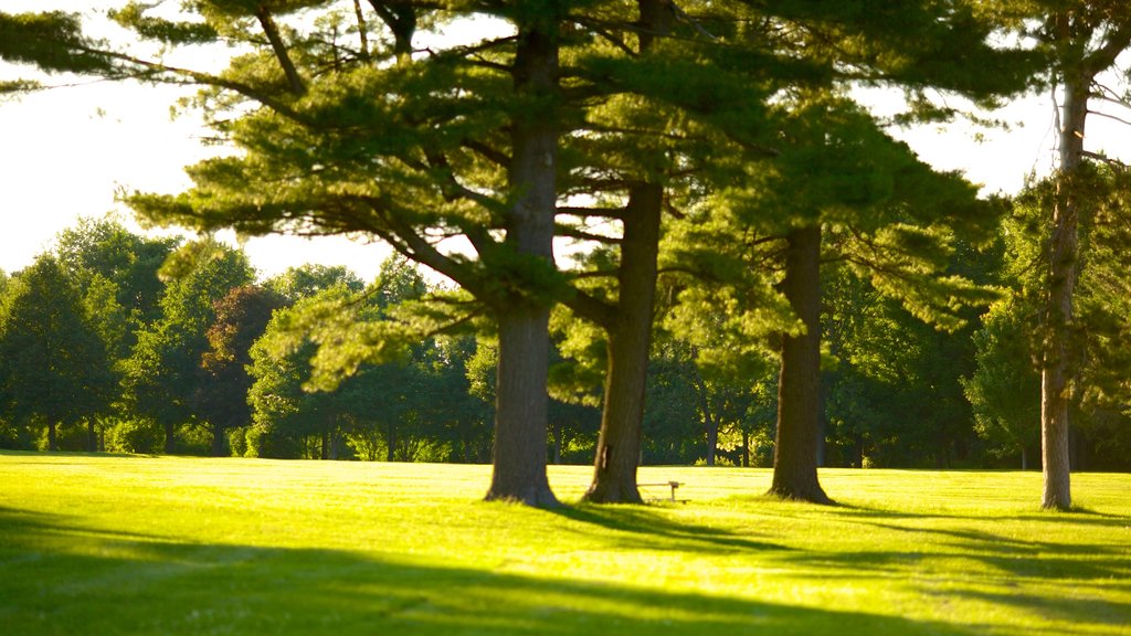 Arboretum Barrie di Taman Sunnidale yang mencakup taman